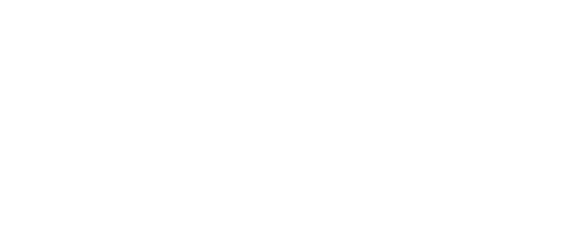 LOGO APES-08